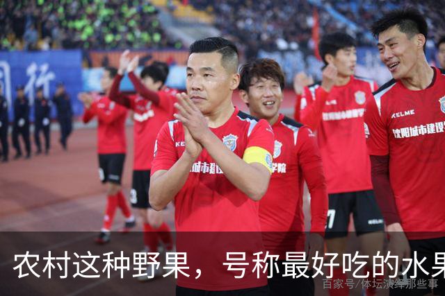 农村这种野果，号称"最好吃的水果"！插土就活，院子种几颗吃不完