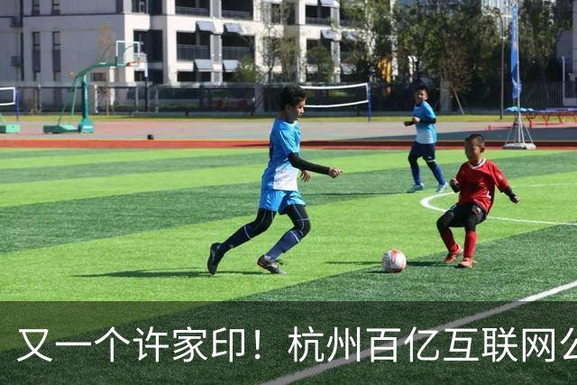 又一个许家印！杭州百亿互联网公司暴雷，49岁创始人失联被立案